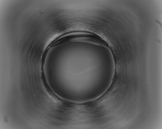 X0000091500438200708231448