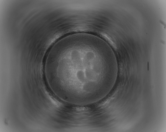 X0000091500439200708231448