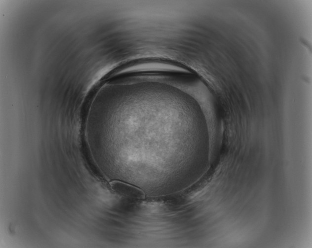 X0000091500440200708231448