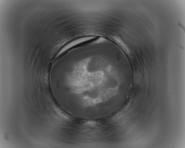 X0000091500441200708231448