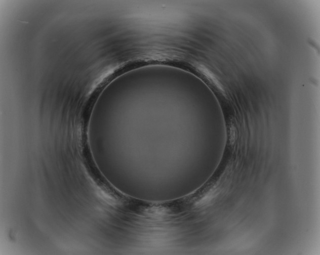 X0000091500444200708231448