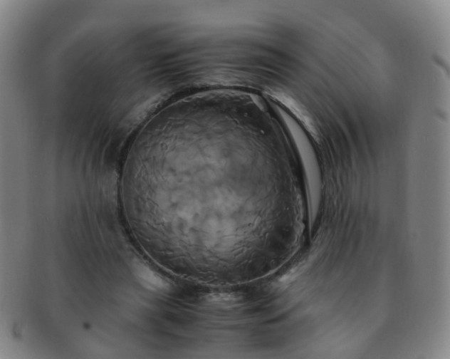 X0000091500445200708231448