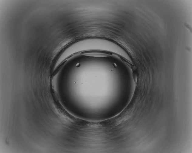 X0000091500446200708231448