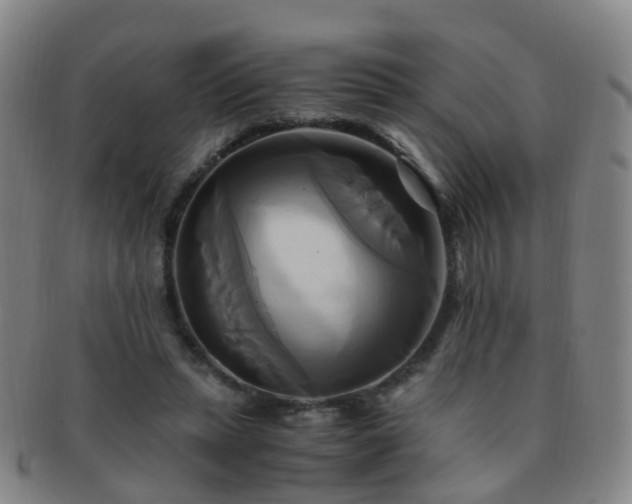 X0000091500447200708231448