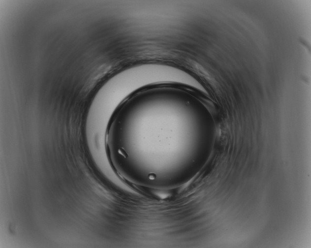 X0000091500452200708231448