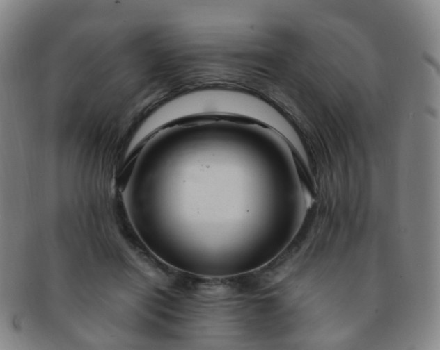 X0000091500454200708231448