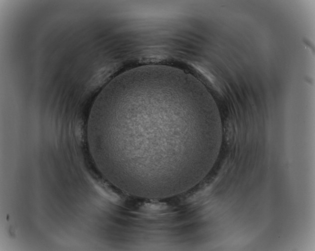 X0000091500455200708231448