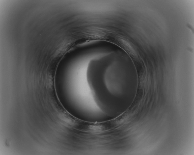 X0000091500457200708231448