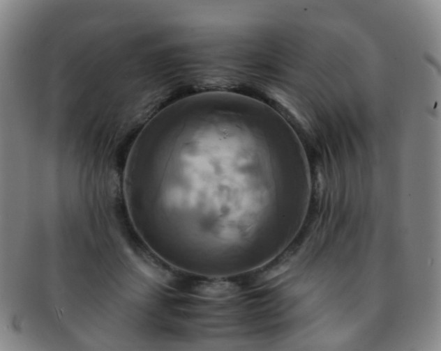 X0000091500459200708231448