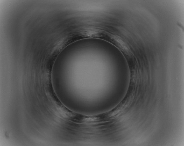 X0000091500461200708231448