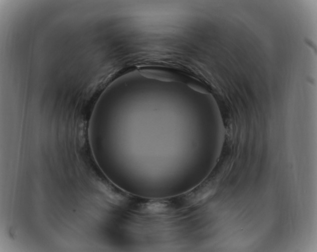 X0000091500462200708231448