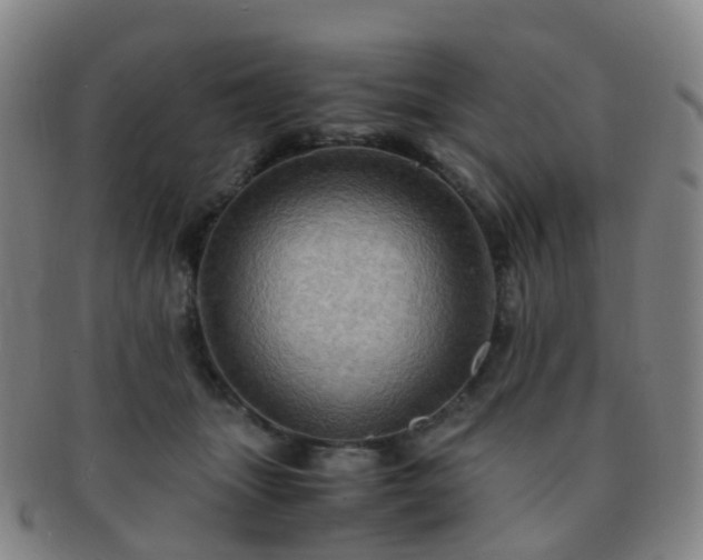 X0000091500463200708231448