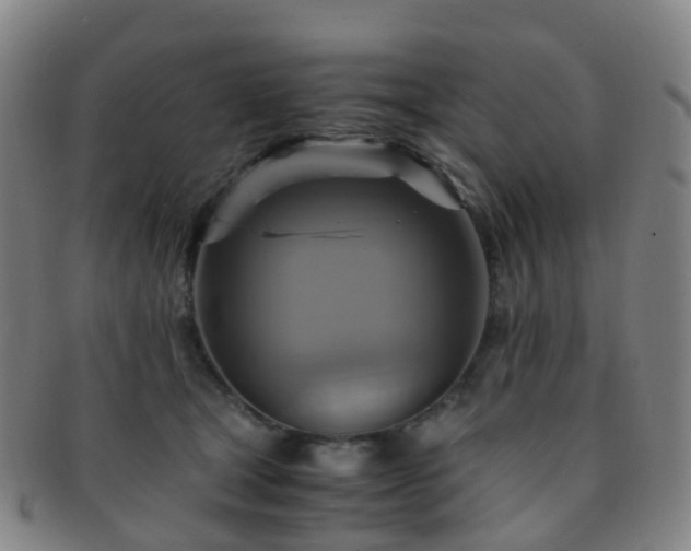 X0000091500465200708231448