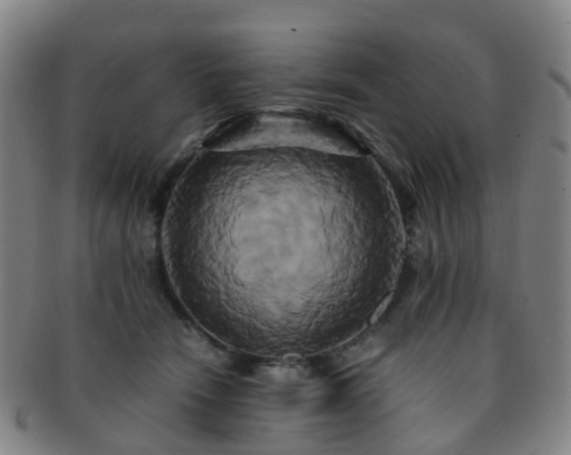 X0000091500466200708231448