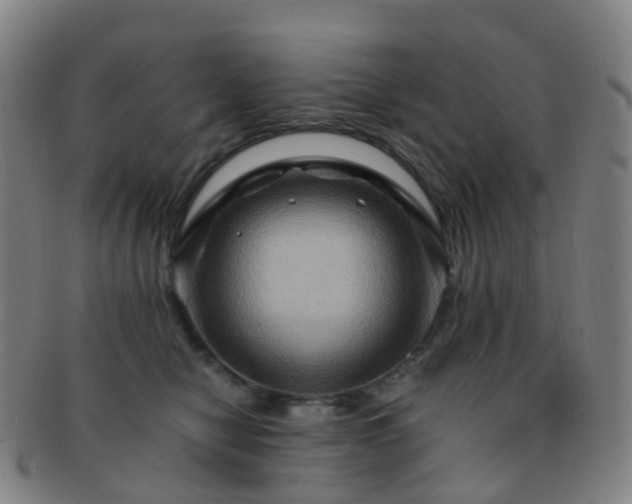 X0000091500470200708231448