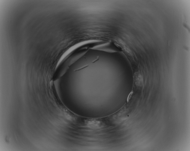 X0000091500471200708231448