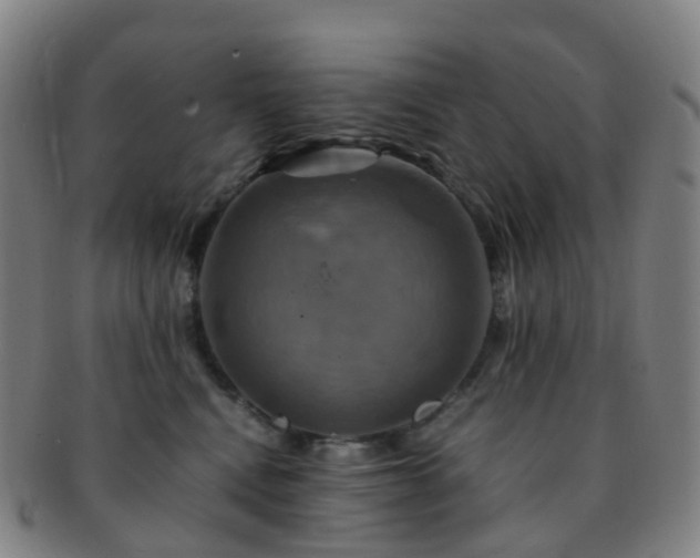 X0000091500472200708231448