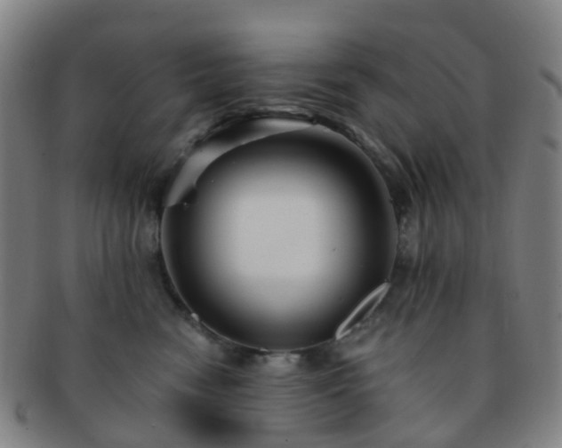 X0000091500474200708231448