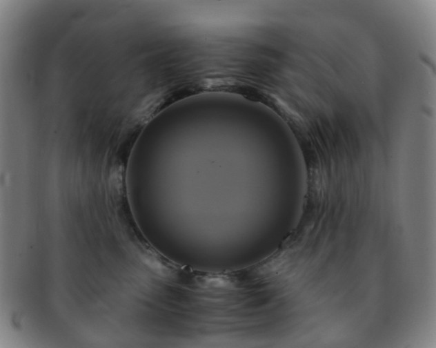 X0000091500475200708231448