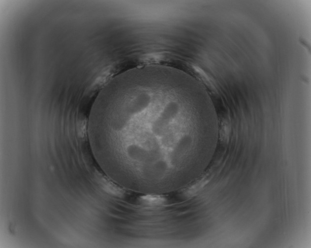 X0000091500477200708231448