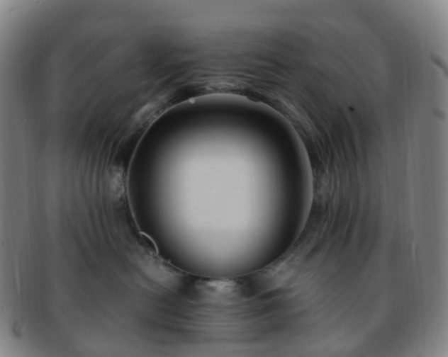 X0000091500478200708231448