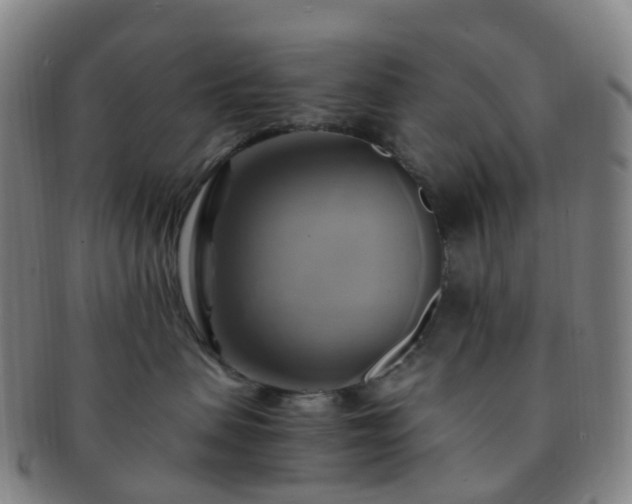 X0000091500479200708231448
