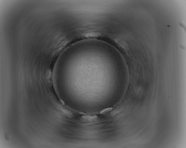 X0000091500480200708231448