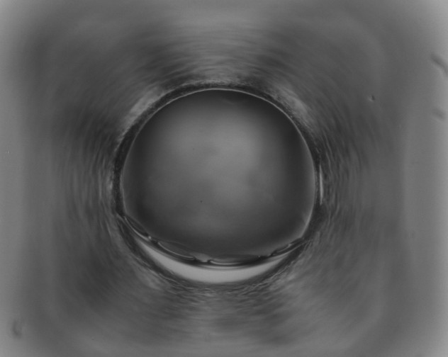 X0000091500483200708231447