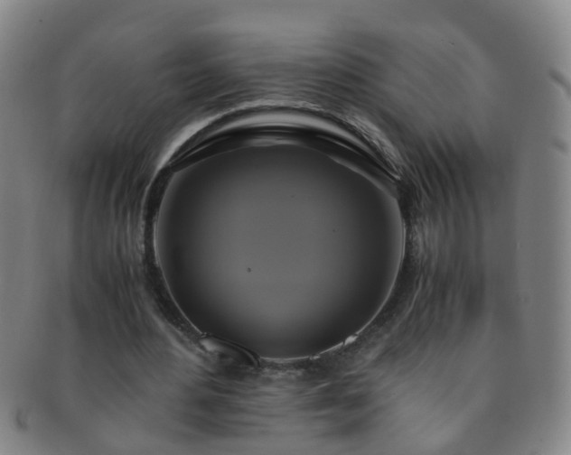 X0000091500484200708231447