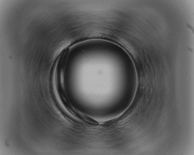 X0000091500485200708231447