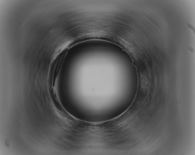 X0000091500486200708231447
