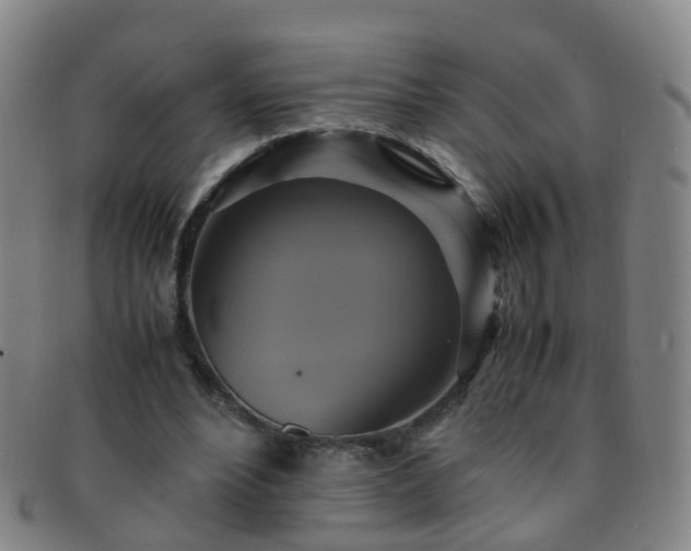 X0000091500488200708231447