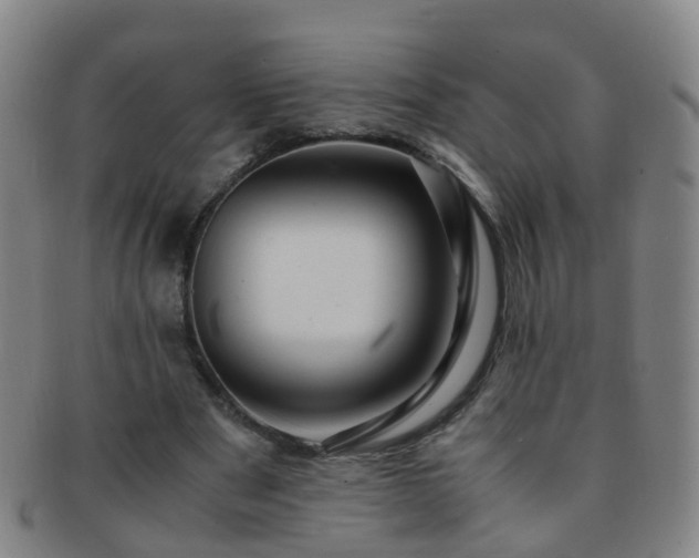 X0000091500489200708231447