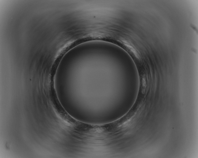 X0000091500492200708231447