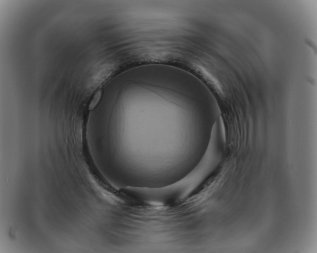 X0000091500493200708231447