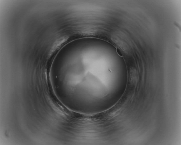 X0000091500494200708231447