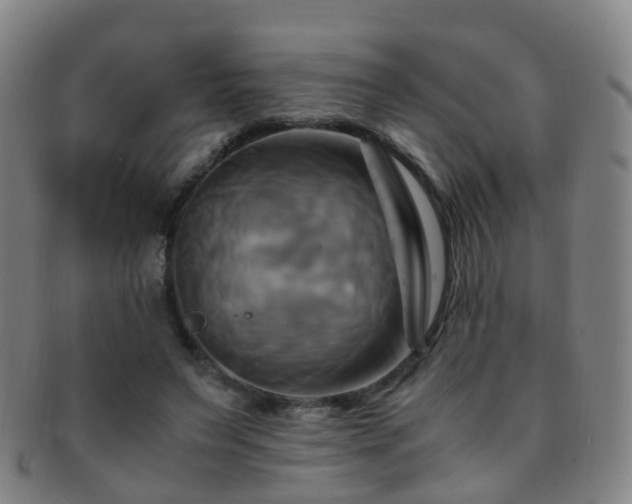 X0000091500495200708231447