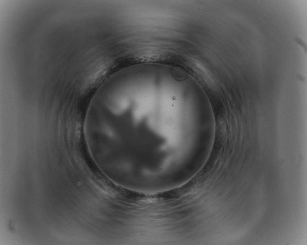 X0000091500499200708231447