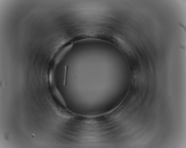 X0000091500500200708231447
