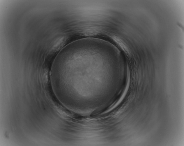X0000091500501200708231447