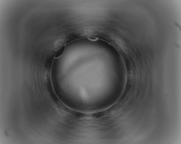 X0000091500503200708231447