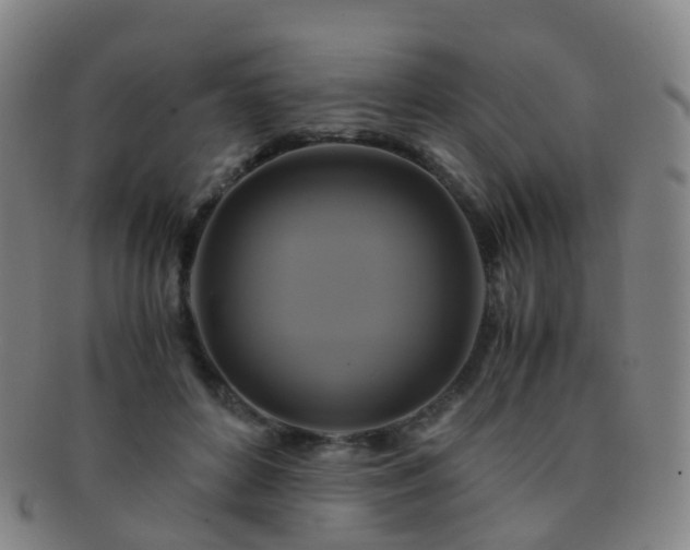 X0000091500504200708231447