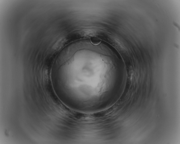 X0000091500506200708231447