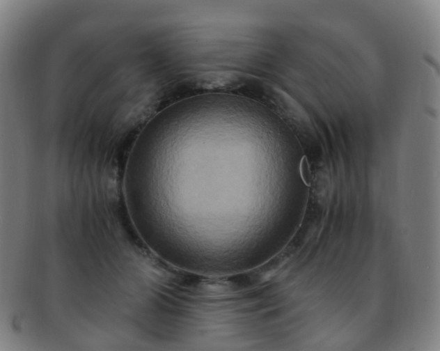 X0000091500510200708231447
