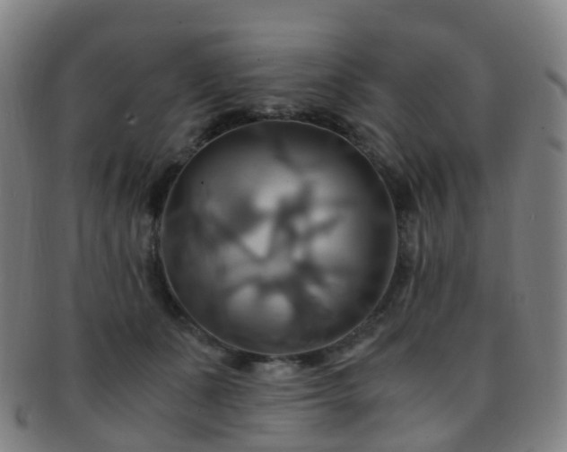 X0000091500511200708231447