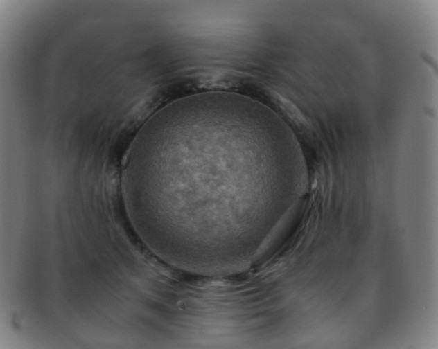 X0000091500513200708231447