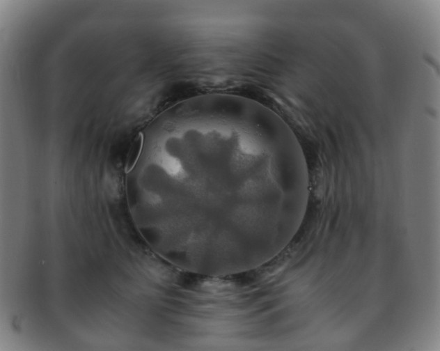 X0000091500515200708231447
