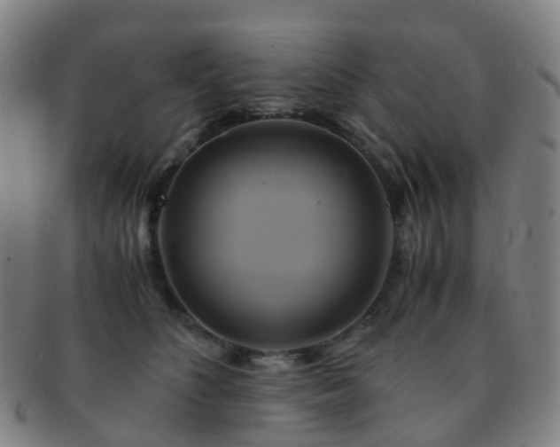 X0000091500516200708231447