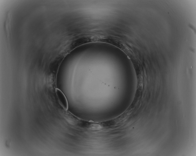 X0000091500519200708231447