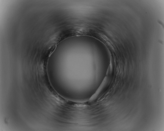 X0000091500520200708231447